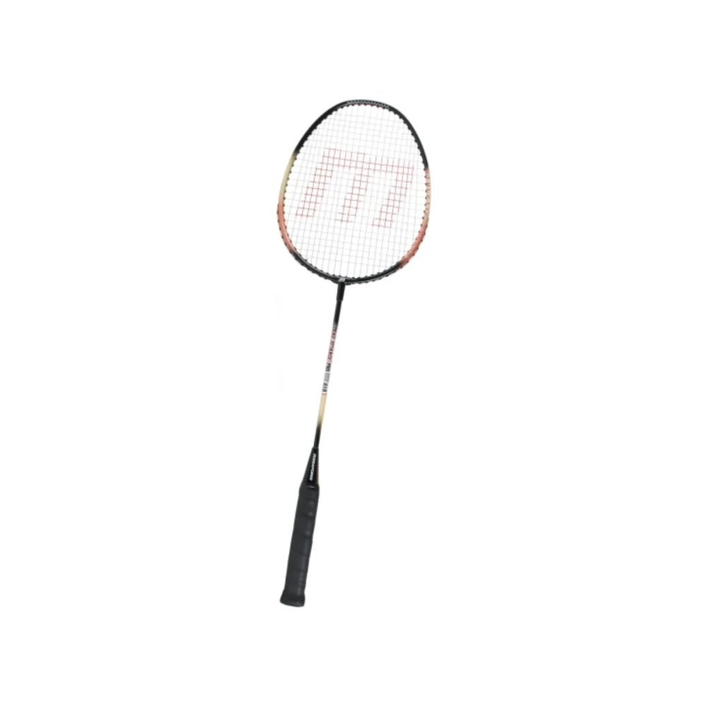 Badmintonracket Bronze