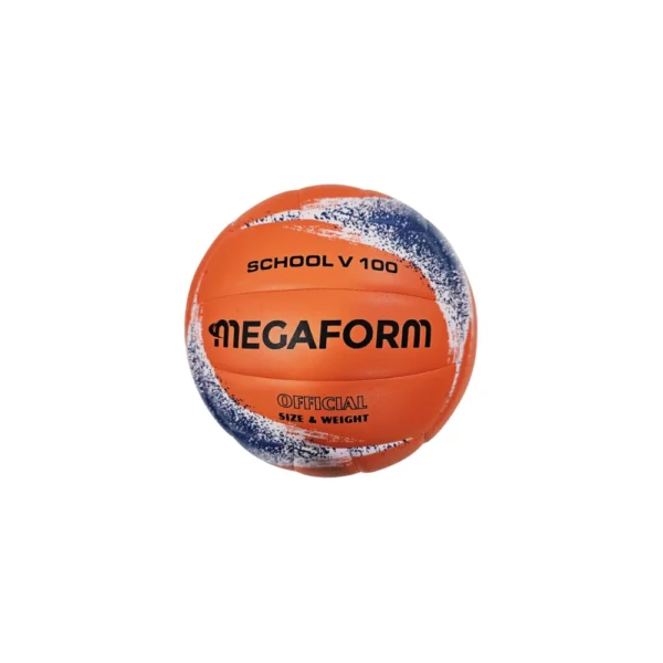 Volleybal Silver V100