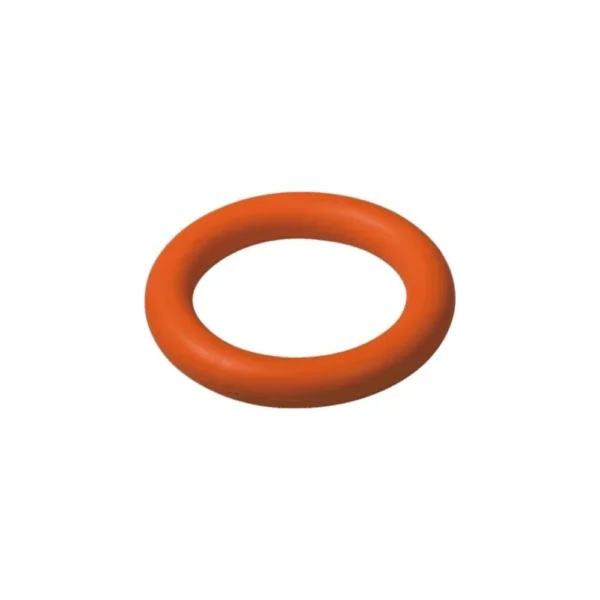 Gym Ringette ring