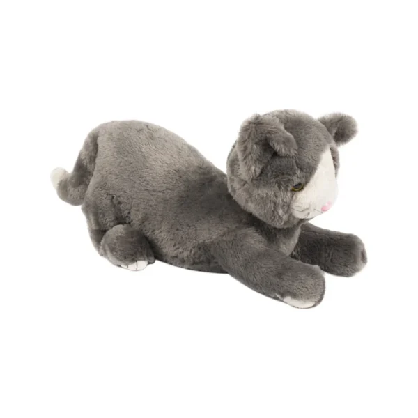 Verzwaarde kat